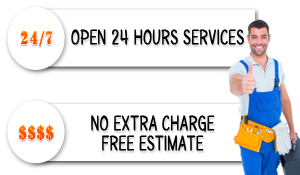 toilet-repair-plumbing-service